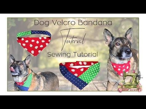 (60) How to Make a Bandana for Your Dog velcro or snap closure sewing pattern tutorial. - YouTube Dog Bandana Pattern, Handsome Model, Bandana Pattern, Collars Diy, Dog Crafts, Pattern Tutorial, Diy Youtube, Dog Accessories, Dog Bandana