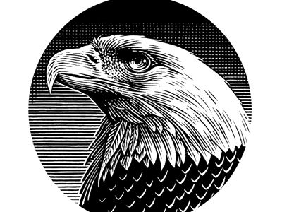 Scratchboard Illustration, Eagle Illustration, Bird Tattoo Men, Bald Eagle Art, Steven Noble, Woodcut Illustration, Military Illustration, Scratchboard Art, Wood Slice Art