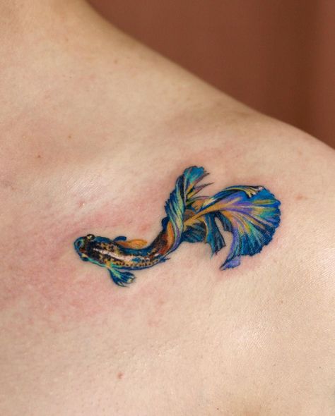 Blue Betta Fish Tattoo, Fish Tattoo Betta, Berta Fish Tattoo, 3d Fish Tattoo, Fish Tattoo Colorful, Betta Fish Tattoos, Guppy Fish Tattoo, Color Fish Tattoo, Betta Fish Tattoo Design