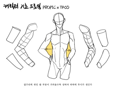 The closer the bent arm is to the side, the more visible there is a bend on the forearm. Anatomy Tutorial, Human Anatomy Drawing, Anatomy Sketches, Body Reference Drawing, 캐릭터 드로잉, Anatomy Drawing, Poses References, Figure Drawing Reference, Body Drawing