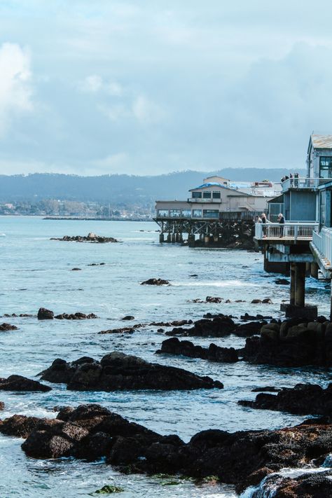 Monterey Bay Aesthetic, Angie Core, Gloomy Aesthetic, Monterey Bay California, 2024 Goals, Eco Life, Vision Board Pictures, Monterey Bay Aquarium, Monterey California