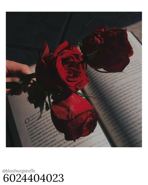 Aesthetic Videos Dark, Red Roses Aesthetic, Roses Aesthetic, Rose Aesthetic, Aesthetic Red, Red Dark, Aesthetic Videos, Make Me Happy, 16 9