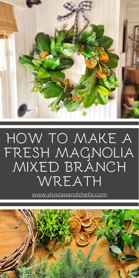 This easy-to-make DIY fresh magnolia leaf wreath is perfect for the fall season, as well as the holidays. Shiplap and Shells will share how to incorporate not only magnolia leaves but mixed branches of all kinds and dried oranges. How To Preserve Magnolia Branches, Live Wreaths, Magnolia Leaves Christmas, Magnolia Christmas Decor, Magnolia Christmas Wreath, Diy Magnolia Wreath, Magnolia Leaf Wreath, Branch Wreath, Magnolia Leaf