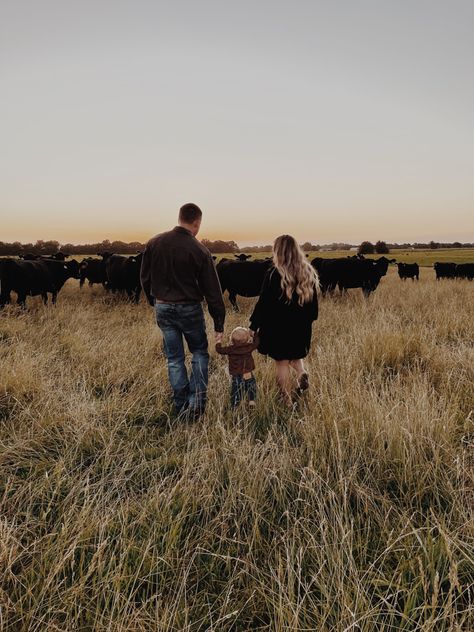 Family Pictures In Cow Pasture, Cattle Family Pictures, Cow Pasture Photoshoot, Family Cowboy Photoshoot, Family Photos With Cows, Family Country Photoshoot, Farm Family Photoshoot, Cowboy Family Pictures, Barn Family Photos