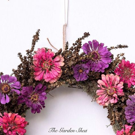 The Garden Shed on Instagram: "Dried flower zinnias, lepto, and reindeer moss #driedflowers #driedflowerwreath #zinniawreath #driedzinniawreath" Dried Zinnias, Zinnia Wreath, Wreath Dried Flowers, Dried Wreath, Reindeer Moss, July 16, Garden Shed, Dried Flower, Fall Wreath