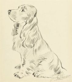 How To Draw Cocker Spaniel, Cocker Spaniel Sketch, Pet Drawing, Spaniel Art, Pencil Drawings Of Animals, Dog Sketch, Pets Drawing, Cocker Spaniels, Animal Sketches