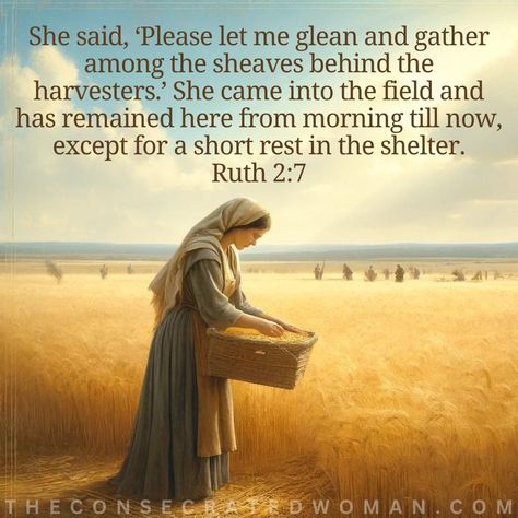 Bible Verse: Ruth 2:7 She said, ‘Please let me glean and gather among the sheaves behind the harvesters.’ She came into the field and has remained here from morning till now, except for a short res… Ruth Quotes Bible, Ruth In The Bible, Ruth 2, Christian Woman, Facing Challenges, Daily Bible Verse, Daily Bible, Do Your Best, Verse Of The Day