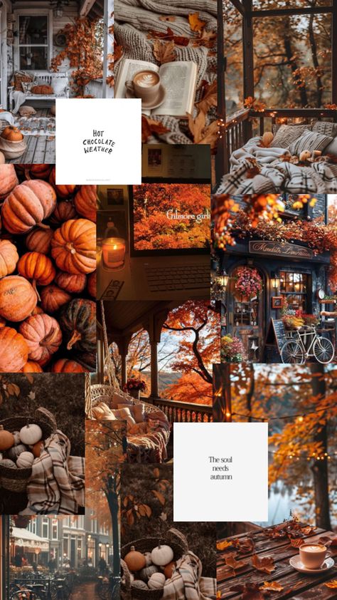 #autumn #fall #vibes #love #herbst #collage #besttime Fall Backrounds, Autumn Phone Wallpaper, Halloween Wallpaper Iphone Backgrounds, Halloween Wallpaper Cute, Thanksgiving Wallpaper, Halloween Traditions, Cellphone Wallpaper Backgrounds, Halloween Wallpaper Iphone, Vintage Soul