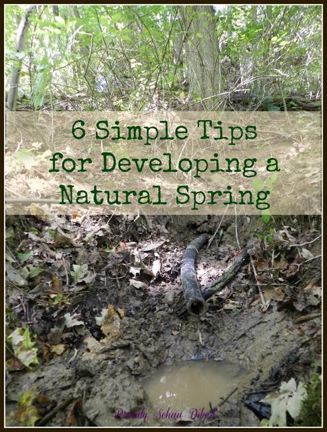 Water Survival, Off Grid Survival, Natural Spring, Homesteading Skills, Survival Techniques, Homestead Survival, Survival Life, Emergency Prepping, Wilderness Survival