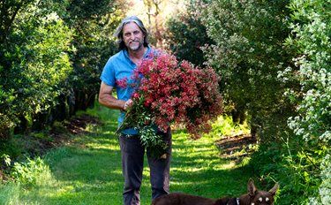 A collaboration between owner and landscape designer allows this home’s seamless connection to the outdoors. Indoor Vine Plants, Australian Wildflowers, Flannel Flower, February Wedding, Homes To Love, Australian Native Flowers, Native Flowers, Beach Garden, Small Fountains