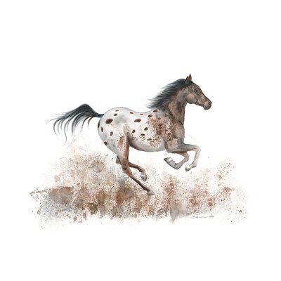 Union Rustic 'Appaloosa' by Brett Blumenthal Acrylic Painting Print  Size: 17" H x 21" W x 0.02" D Horse Nursery Decor, Levi Miller, Horse Nursery, Horse Images, Farm Nursery Decor, Horses Art, Horse Paintings, Gorgeous Horses, Appaloosa Horse