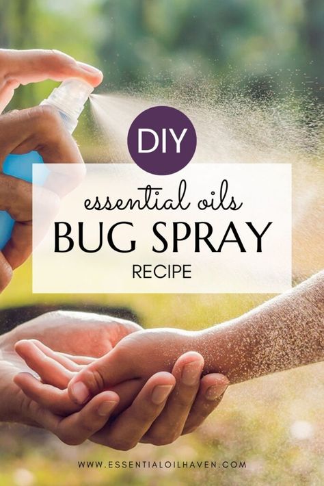 Essential Oil Bug Spray Recipe – Which Oils Repel Mosquitos? Essential Oil Bug Spray Recipe, Essential Oils For Mosquitoes, Homemade Mosquito Repellent, Insect Repellent Essential Oils, Essential Oil Bug Spray, Repel Mosquitos, Essential Oil Mixtures, Diy Bug Spray, Bug Spray Recipe