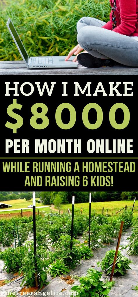 Homesteading Skills, Internet Business, Work At Home, Home Jobs, Blogging For Beginners, Make Money Blogging, Money Blogging, Work From Home Jobs, Money Maker