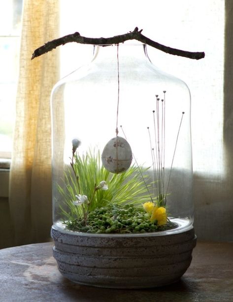 25 Ideas for Tabletop Gardens and Terrariums - Pretty Handy Girl Easter Terrarium, Beautiful Terrariums, نباتات منزلية, Deco Nature, Moss Garden, Decoration Plante, Terrarium Diy, Indoor Gardens, Garden Terrarium