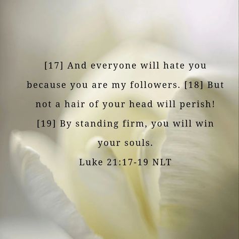 Luke 21:17-19 Luke 21, Luke 17, Verse Wallpaper, Luke 1, Verses Wallpaper, Christian Motivation, Bible Words, April 29, Bible Verse Wallpaper