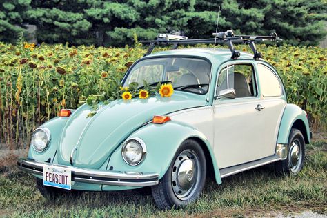 You find me one, Dragon. The car and the flower! Cars Volkswagen, Old Fashioned Cars, Carros Vintage, Bug Car, Kombi Home, Beetle Car, Aston Martin Dbs, Vw Beetle Classic, Vw Vintage