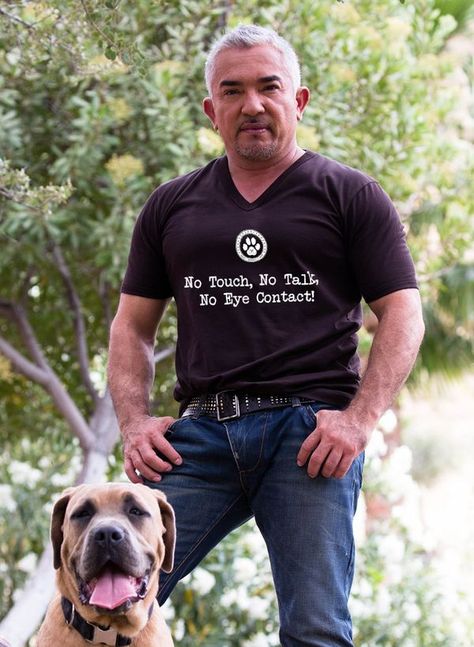 𝗖𝗲𝘀𝗮𝗿 𝗠𝗶𝗹𝗹𝗮𝗻 𝗢𝗳𝗳𝗶𝗰𝗶𝗮𝗹 | Good morning pack leaders | Facebook Cesar Millan, Dog Whisperer, Pack Leader, Mantra, Talk About, Good Morning