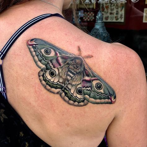 Vintage Botanical Tattoo, Emperor Moth, Whimsical Tattoos, Bug Tattoo, Sweet Tattoos, Moth Tattoo, Botanical Tattoo, Traditional Tattoo Art, Custom Tattoo Design