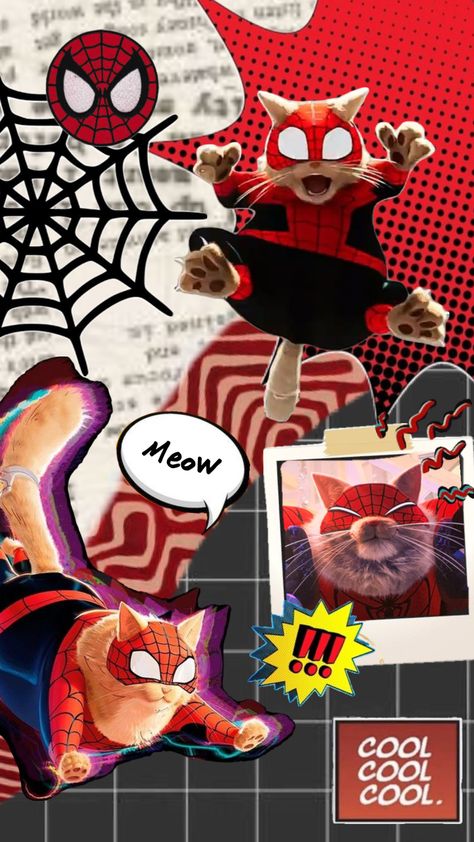 Wallpaper Funny Aesthetic, Gwen Spiderman, Spiderman Painting, Wallpaper Gatos, Spider Cat, Spiderman And Spider Gwen, Spiderman Tattoo, Book Cover Art Design, Aesthetic Shuffles