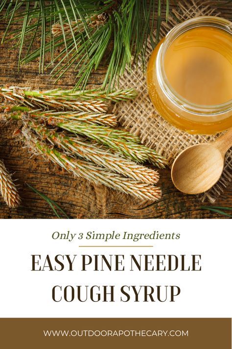 Pine Tea, Diy Herbal Remedies, Salve Recipes, Loose Leaf Teas, Herbal Tinctures, Local Honey, Herbal Infusion, Syrup Recipe, Pine Needles