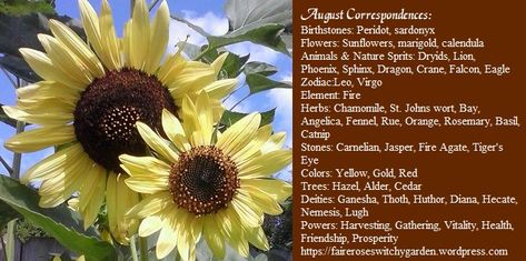 August Correspondences Witchy Holidays, Virgo Element, Witches Wheel, Magickal Correspondences, Digital Grimoire, Witchy Garden, Spell Bottles, Witch Core, Moon Calendar