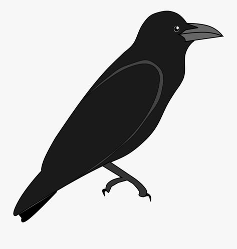 Crow Outline, Sun Clip Art, Art Outline, Outline Images, Background Clipart, Clipart Black And White, Seasons Of The Year, Clipart Images, Transparent Background