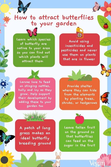 Over the past four decades, 76% of the UK’s resident and regular migrant butterfly species have declined, according to Butterfly Conservation. However, there are things we could all be doing to help the UK’s butterfly population survive and grow. In this article, we share our top tips for attracting more butterflies to your garden. Horticulture Education, Vegan Magazine, Plants That Attract Butterflies, Plants Uk, Eco Friendly Garden, Butterfly Species, Ice Plant, Attract Butterflies, Beneficial Insects