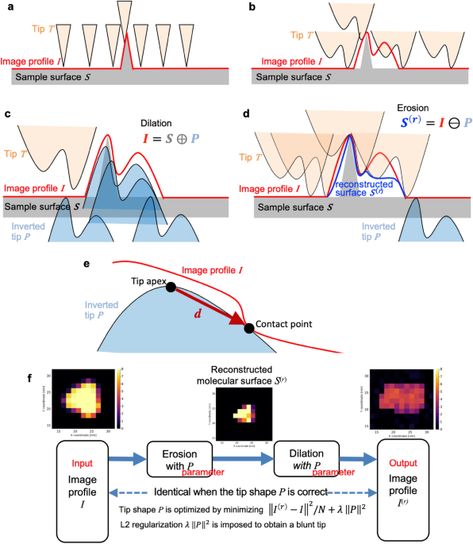 End-to-end differentiable blind tip reconstruction for noisy atomic force microscopy images | Scientific Reports Structural Model, Learning Framework, Standard Deviation, Molecular Structure, Deep Learning, Image Frame, Machine Learning, Atom, Geometry