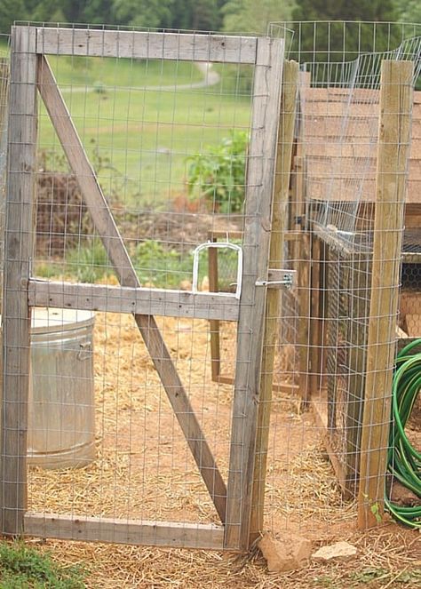 How to Build a Chicken Run Build A Chicken Run, Building A Chicken Run, Chicken Coop Kit, Urban Chicken Farming, Portable Chicken Coop, Urban Chickens, Best Chicken Coop, Chicken Run, Worm Composting