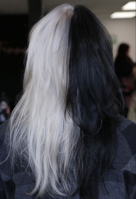 Split Dye White And Black, Black And White Split Dye Hair, Black White Split Hair, Half Black Half Grey Hair, Half Gray Half Black Hair, Half Black Half Silver Hair, Half White And Black Hair, Split Hair Dye Black And White, Half White Half Brown Hair