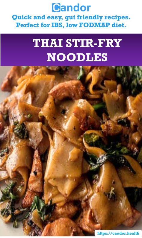 thai stir-fry noodles perfect for ibs or low fodmap diet Low Fodmap Rice Noodle Recipes, Low Fodmap Side Dishes, Ibs Recipe, Pad See Ew Recipe, Tofu Eggs, Asian Sauce Recipes, Apartment Cooking, Flat Rice Noodles, Fodmap Chicken