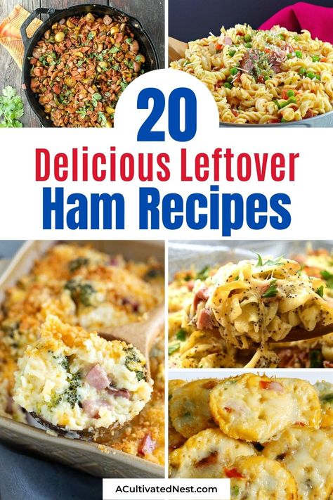 20 Delicious Leftover Ham Recipes- If you have ham leftover from Easter or Christmas, put it to use in these leftover ham recipes! There are so many tasty ways to use up leftover ham! | #ham #leftoverHam #recipes #dinnerRecipes #ACultivatedNest Leftover Hot Dogs, Hot Dog Appetizers, Healthy Ham, Ham Leftovers, Dogs Recipes, Ham Salad Recipes, Bacon Ranch Pasta Salad, Ham And Potato Soup, Hot Dogs Recipes