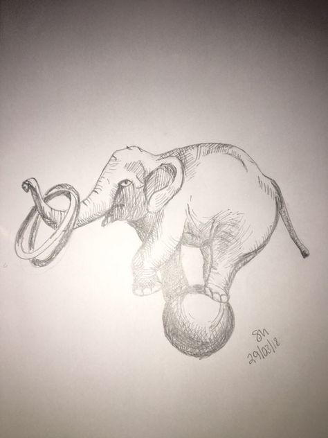 Pencil drawing of Elephant on ball - 29 - 3 -18 Circus Animal Drawing, Simp Drawings, Circus Elephant Drawing, Circus Drawing Sketches, Circus Elephant Tattoos, Circus Tent Drawing, Drawing Of Elephant, Elephant On A Ball, Elephant On Ball