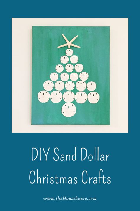 Sand Dollar Christmas Projects Sanddollar Ornaments Diy, Diy Sand Dollar Crafts, Sand Dollar Ideas, Sand Dollar Christmas Ornaments Diy, Sand Dollar Christmas Ornaments, Sand Dollar Christmas, Driftwood Christmas Decorations, Sand Dollar Craft, Textile Art Projects