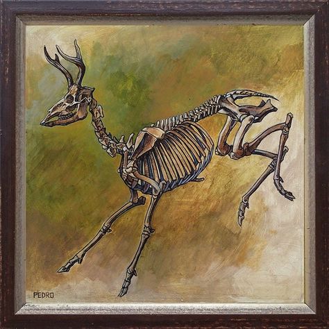 "\"speed & grace\" or whitetailed deer skeleton  acrylic on wood panel - 12\" x 12\"  framed measures 14 3/4\" x 14 3/4\" x 1 1/2\" *international buyers - please message me for shipping rates on this item" Whitetail Deer Photography, Deer Skeleton, Deer Photography, Laurel Leaves, Skeleton Art, Sea Witch, Animal Bones, Acrylic On Wood, Whitetail Deer