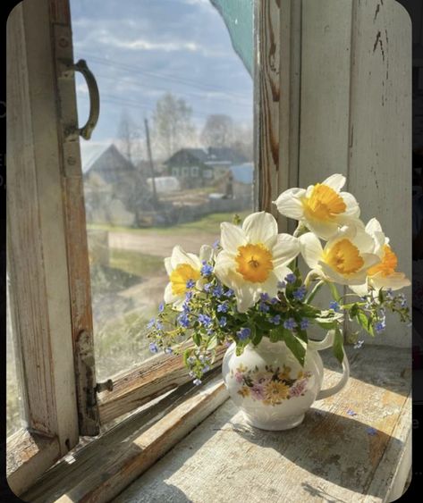 Drawing Scenery, Eclectic Farmhouse, Rose Oil Painting, Color Palette Yellow, Inspo Pics, Fruit Painting, Floral Photo, Window View, Window Painting