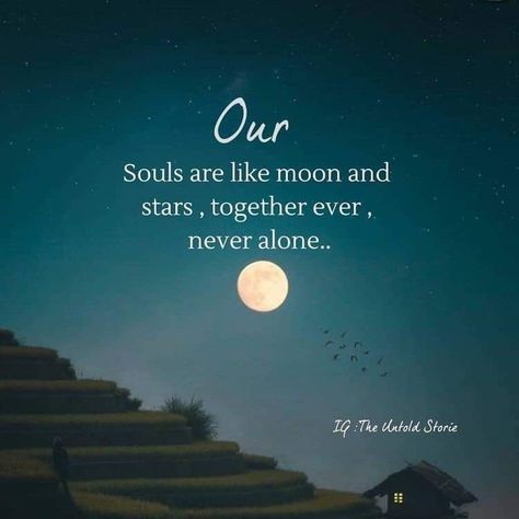 Moon Love Quotes, Quote Moon, Stars Quotes, Moon And Star Quotes, Galaxy Quotes, Rain Quotes, Moon Quotes, Star Quotes, Quotes About Everything