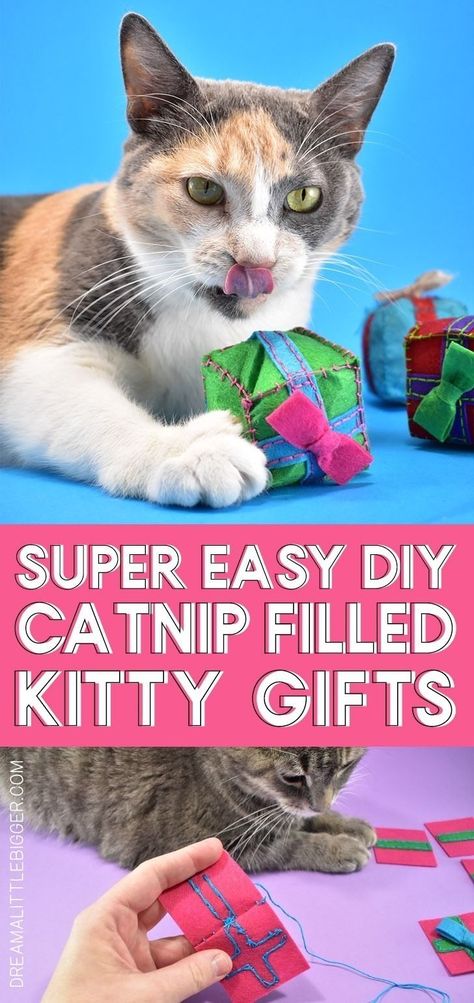 Easy DIY Catnip Gifts Cat Toys Christmas Cat Toys, Diy Catnip Toys, Cat Projects, Cat Playground Outdoor, Handmade Cat Toys, Homemade Cat Toys, Diy Cat Toys, Cats Diy Projects, Guinea Pig Toys