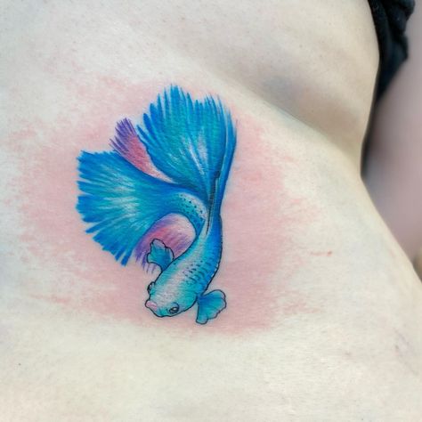 Betta Fish Tattoo, Betta fish tattoo design, women's Betta fish tattoo, Betta fish tattoo designs, simple Betta fish tattoo, watercolor betta fish tattoo, Betta fish tattoo small, black Betta fish tattoo, small Betta fish tattoo, realistic betta fish tattoo, betta fish tattoo simple, betta fish tattoo drawing, betta fish tattoo ideas, red betta fish tattoo, geometric betta fish tattoo, Betta fish tattoo traditional,Female betta fish Tattoo,Betta fish tattoo outline,Siamese fighting fish Tattoo Fish Tattoo Drawing, Black Betta Fish, Fish Tattoo Traditional, Tattoo Ideas Red, Red Betta Fish, Betta Fish Tattoo, Fish Tattoo Design, Female Betta, Tattoo Watercolor