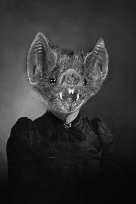 Velda the vampire bat by Brady's Bestiary on Etsy Vampire Movies, Vampire Bat, Creepy Art, The Vampire, Pet Portraits, Bat, Lion Sculpture, Batman, Statue