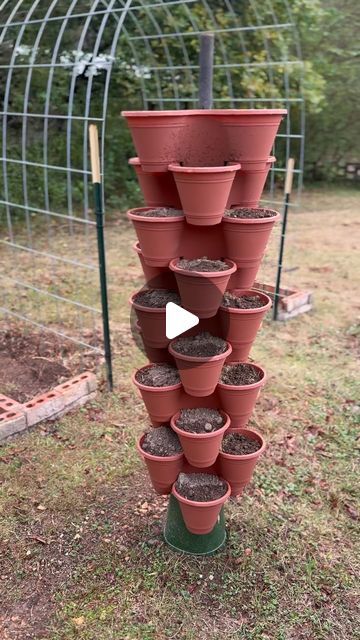 Leslie Cox on Instagram: "to a small growing area.
@dollartree has exactly what you need in the Garden Section.
#strawberry #howtogrowstrawberries #growstrawberries #growyourownfood
#verticalfarming #verticalgardens #verticalgardening #verticalplanting #verticalplanter #suburbangarden #suburbangardening #suburbanfarming #suburbanfarm #farmstead #farmsteading #dollartree
#DIY #diyproject" Strawberry Growing Ideas, Vertical Strawberry Garden, Strawberry Garden Ideas, Diy Strawberry Planter, Strawberry Planter Ideas, Growing Strawberries Vertically, Strawberry Planters Diy, Growing Strawberries In Containers, Garden Section