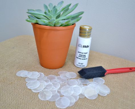 capiz shell planter {a tutorial} + washi winner Capiz Shell Crafts, Diy Crafts Tutorials, Shell Planter, Shells Diy, Diy Craft Tutorials, Capiz Shell, Types Of Painting, Shell Crafts, Easy Diy Crafts