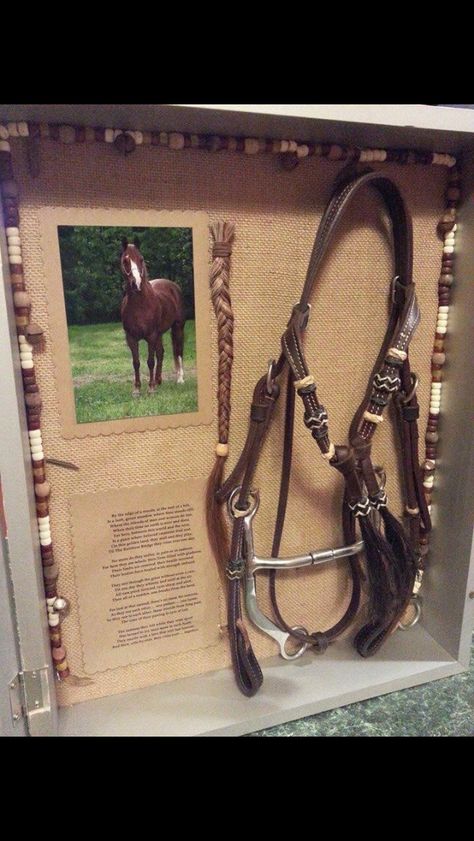 Ffa Shadow Box Ideas, Horse Hair Memorial Ideas, Horse Shadow Box Ideas, Horse Memory Ideas, Horse Halter Shadow Box Ideas, Horse Memorial Ideas, Horse Memory Box Ideas, Horse Memorial Shadow Box Ideas, Horse Shadow Box