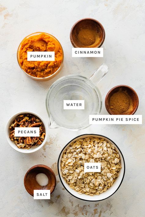 The Best Pumpkin Oatmeal - Eating Bird Food Healthy Fall Breakfast, Pumpkin Oatmeal Pancakes, Pumpkin Spice Oatmeal, Best Oatmeal Recipe, Pumpkin Pie Oatmeal, Eating Bird Food, Pumpkin Pecan Pie, Pumpkin Pie Mix, Food Play