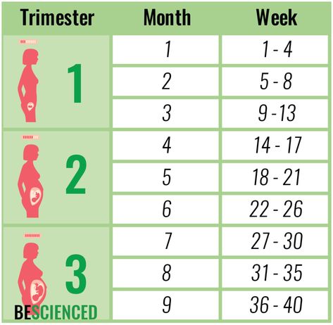 Pregnancy Weeks And Months, 2 Weeks Pregnant, Pregnancy Month, 1 Week Pregnant, 4 Weeks Pregnant, Pregnancy Weeks, Pregnancy Chart, 23 Weeks Pregnant, 15 Weeks Pregnant