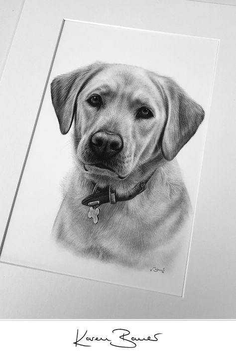 Black Lab Drawing Pencil, Labrador Pencil Drawing, Labrador Dog Drawing, Labrador Sketch, Drawing Ideas Dog, Labrador Drawing, Portrait Artists Pencil, Dog Pencil Drawing, Hard Drawings