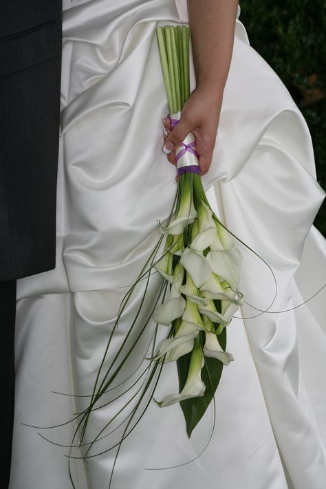 Minature  Calla Lilys with Bear Grass and Tai leaf - Classy Wedding Flowers Lilies, Calla Lily Bouquet Wedding, Simple Wedding Bouquets, Calla Lily Flowers, Calla Lily Bouquet, Lily Wedding, Bridal Bouquet Flowers, Lily Bouquet, Floral Designer