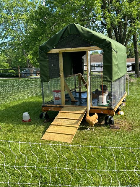 We finally got our chicken tractor built. We repurposed an old greenhouse frame. There are too many predators in our area to use an open bottom tractor so we decided to build one that could be closed up at night. The sides come down for inclement weather and the birds can go underneath it to forage and rest in the shade. We also used rubber stall mats inside so it can be hosed out. We just pull it around every few days with the tractor. I love it. Old Greenhouse, Greenhouse Frame, Chicken Tractor, Canvas Tent, Chicken Noodle, Chickens Backyard, Chicken Coop, The Birds, Coop