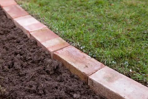 Lawn Edging Bricks, Brick Landscape Edging, Landscape Edging Stone, Garden Lawn Edging, Garden Edge, Landscape Ideas Front Yard Curb Appeal, Grass Edging, Brick Garden Edging, Brick Edging