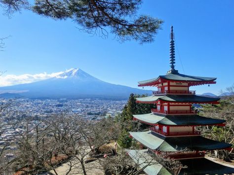 Chureito Pagoda in Yamanashi Gunung Fuji, Fujikawaguchiko, Day Trips From Tokyo, Mt Fuji, Instagrammable Places, Top Travel Destinations, Mount Fuji, Stunning View, Great View